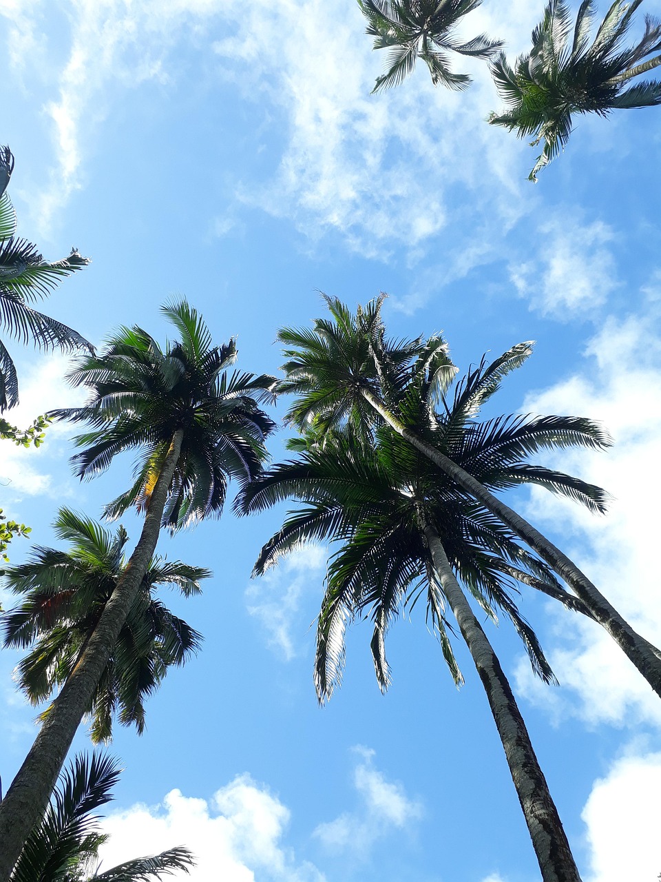 Mauritius
